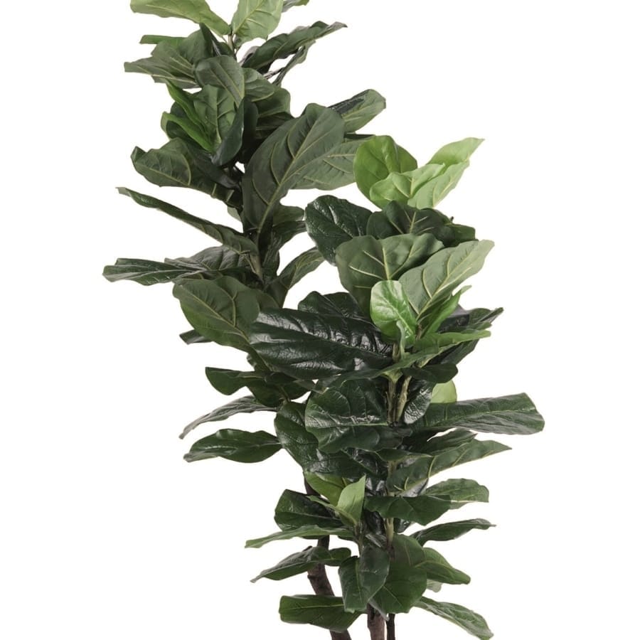 Kunstplant Media647 Green Plastic - Image 2