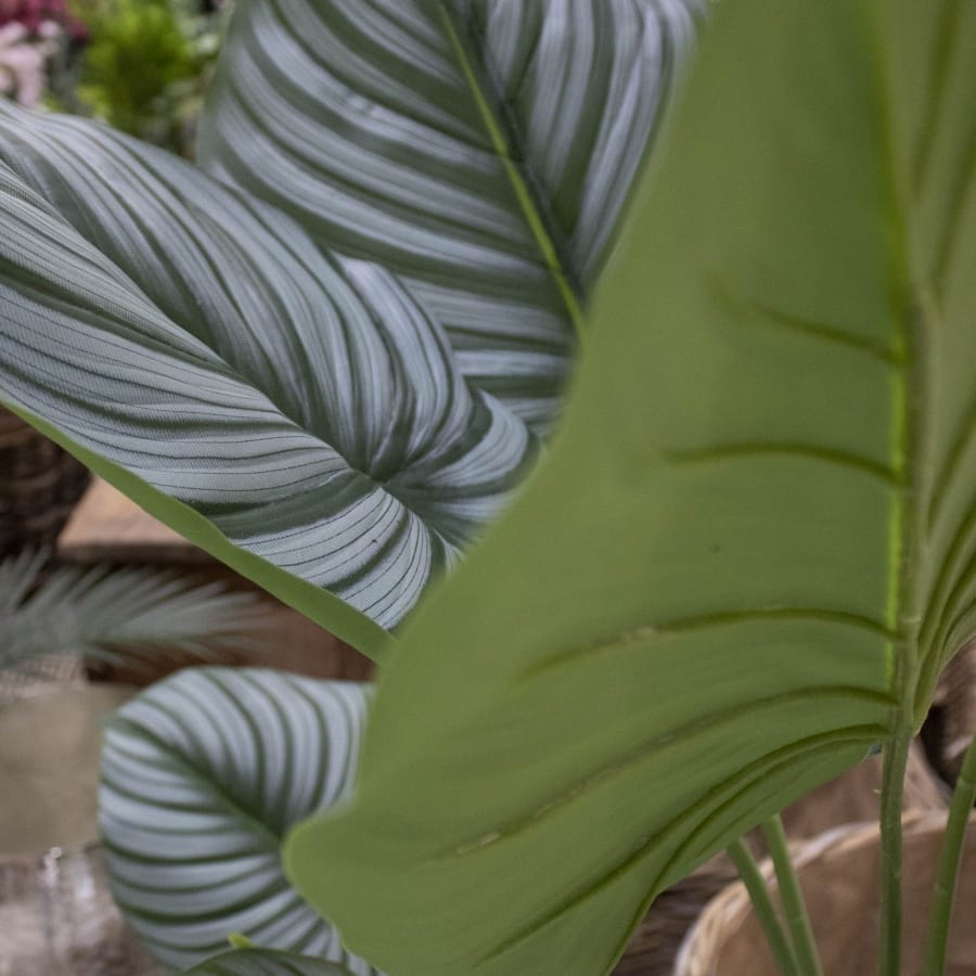 Kunstplant Media647 Green Plastic - Image 2