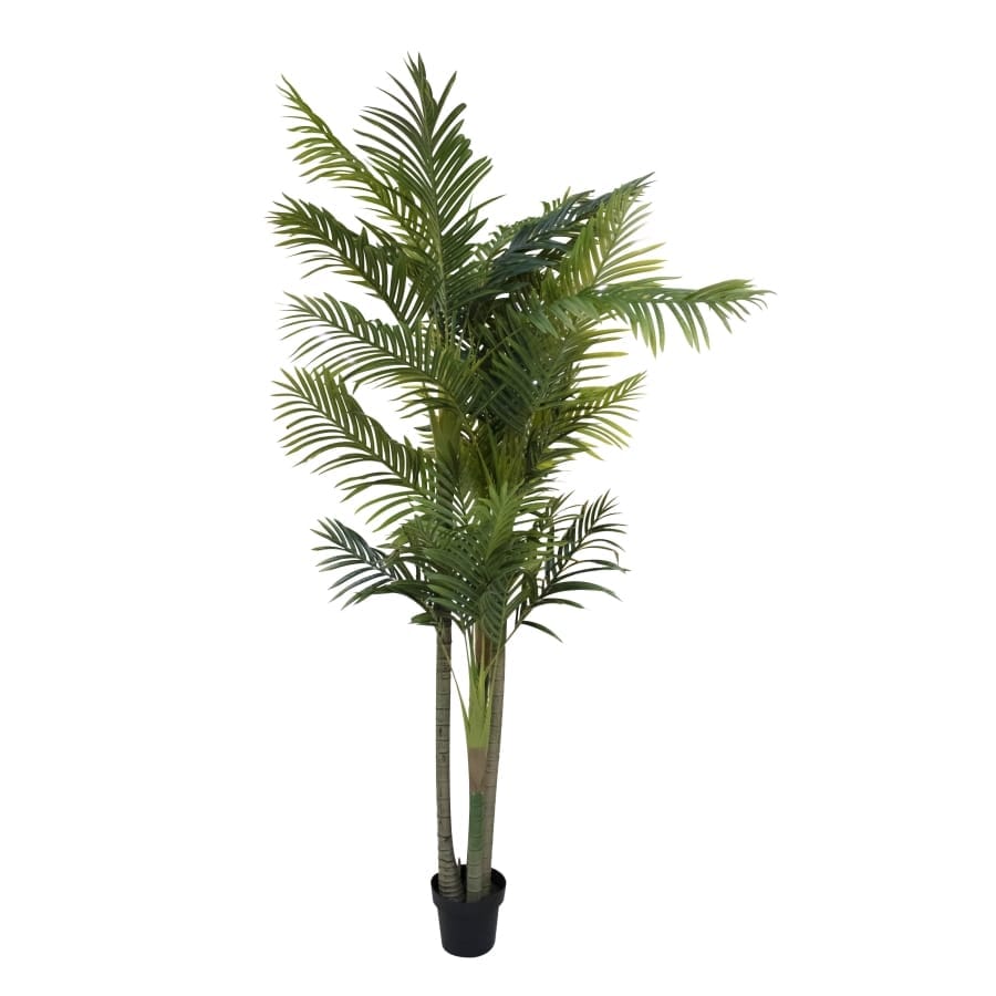 Kunstplant Media647 Green Plastic